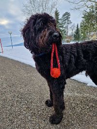 Prestations Prestations