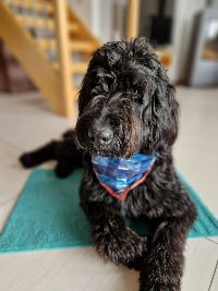 Formations Formations